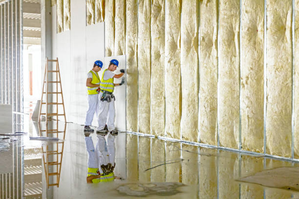 Best Eco-Friendly Insulation in Hobbs, NM